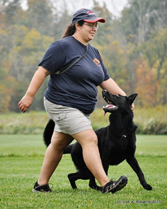 ceridwen zu treuen handen IPO2 RN german shepherd fuss